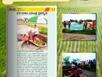 A VST Rice Transplanter demo program was conducted at Reddypuram in Warangal, Telangana